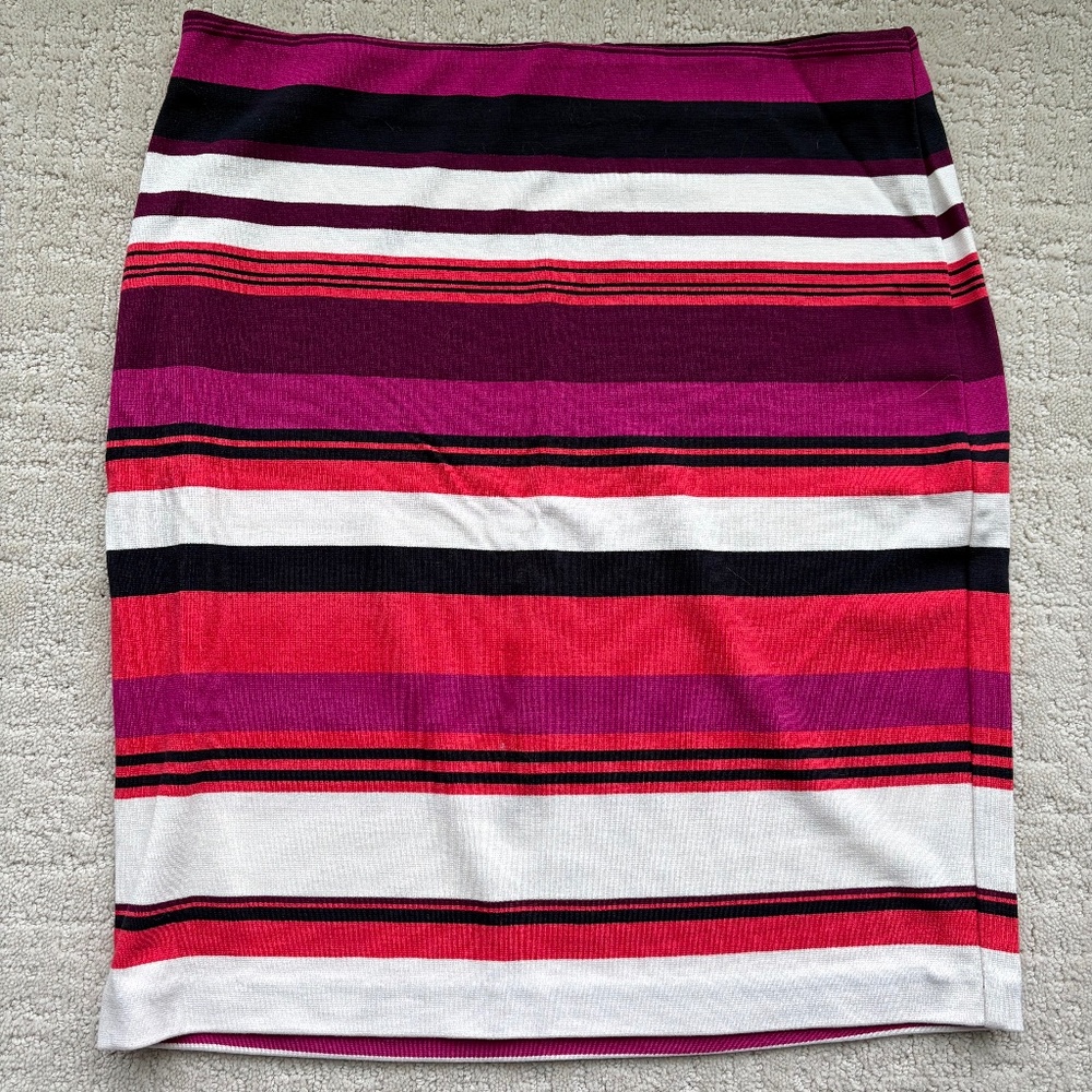 Women’s Ann Taylor Skirt
